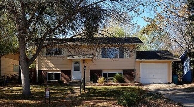 Building Photo - AVAILABLE AUGUST! Huge 4 bedroom/2 bath home with large fenced yard