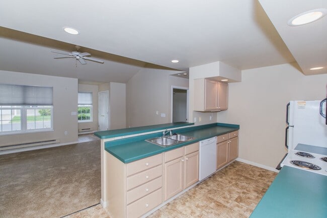 Photo - Whitetail Run