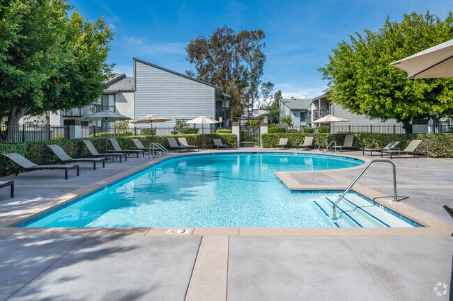 Pool and Spa