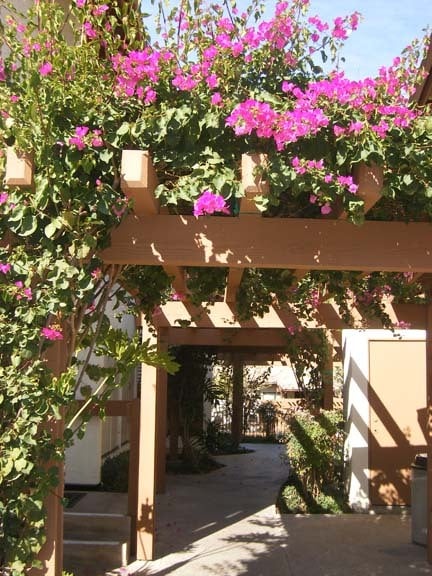 Photo - 6354 Rancho Mission Rd Unit 524