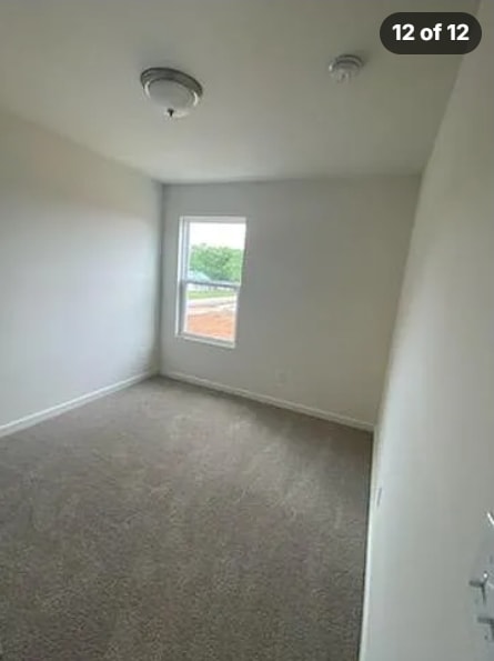 107 Brighton Ln