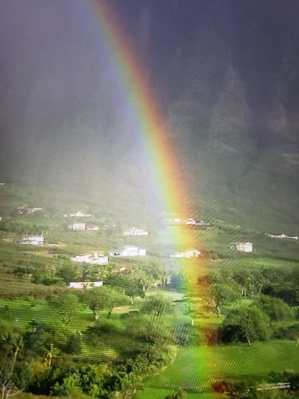 Photo - 786-786 Ala Mahiku St