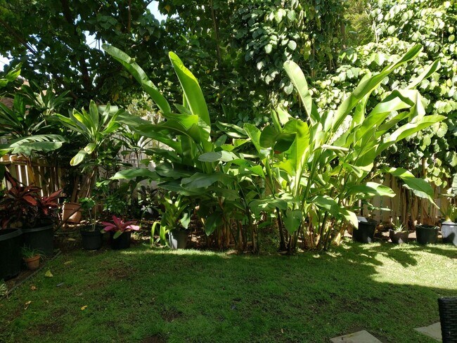Photo - Kihei Villages ground floor unit with large yard and 2 parking stalls. Avail. Sept. 1st.