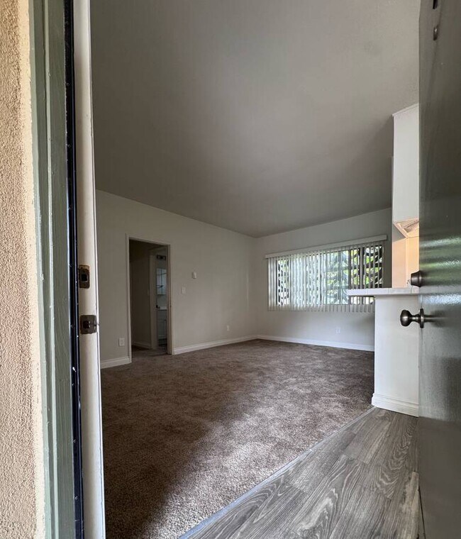 Photo - Collinswood Apartments