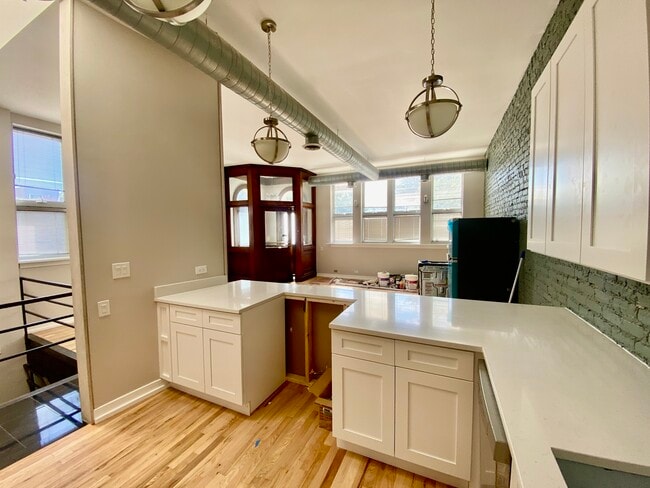 Kitchen looking South - 1734 W Cortland St Unit 1