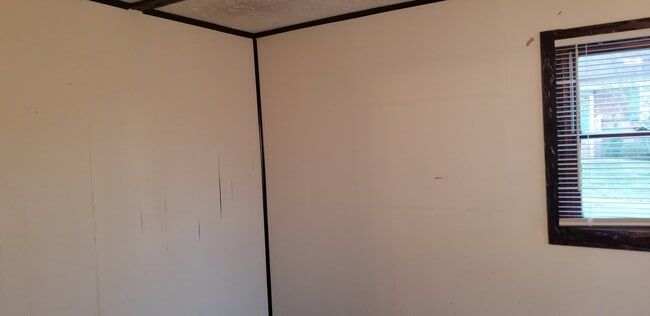 Photo - 19 Douglas St