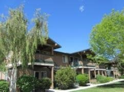 Brooktree Apartments