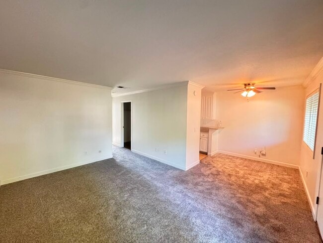 Photo - 356 Robinson St Unidad 32