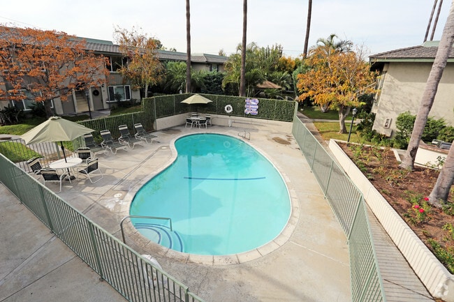 Robin Meadows - Robin Meadows