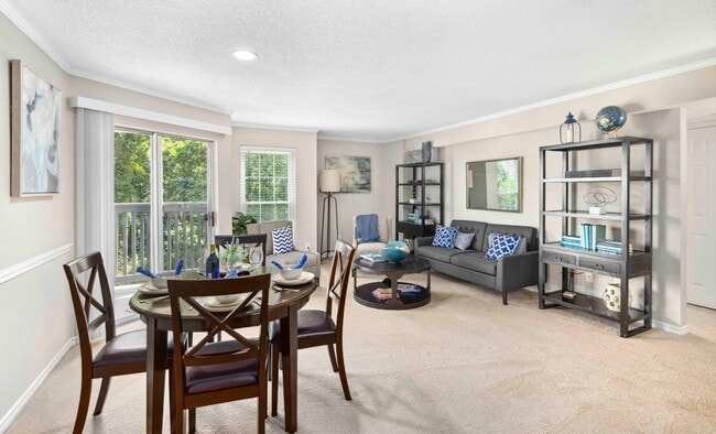 Photo - MAA Tysons Corner