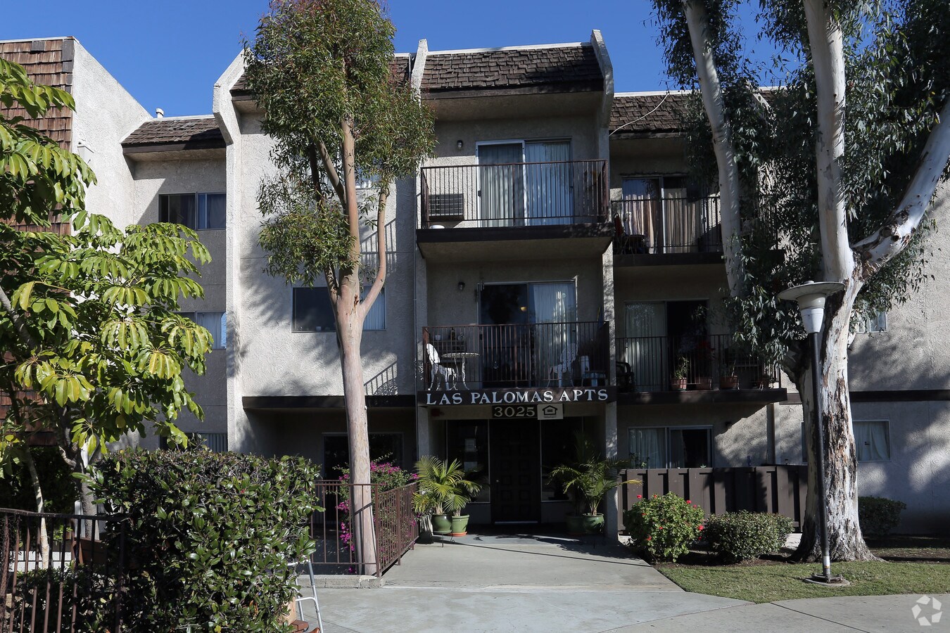 Photo - Las Palomas Apartments
