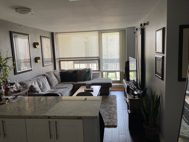 Photo - 1360 N Sandburg Ter Unit 1806