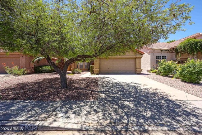 Photo - 3305 E Wildwood Dr