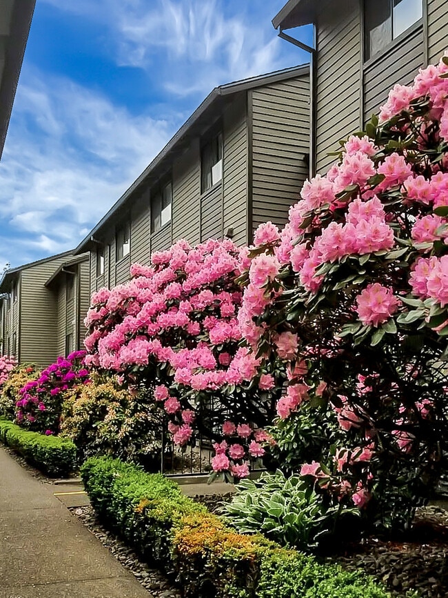 Photo - Erica Village