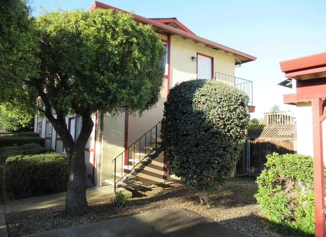 Building Photo - 2149 Mount Diablo St Unit 3 Rental