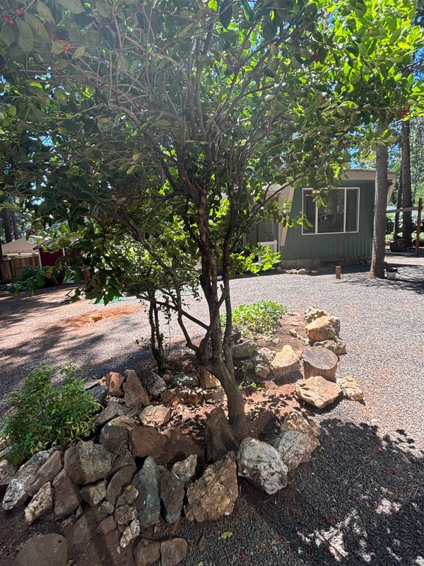 Photo - 14737 Wildlife Dr