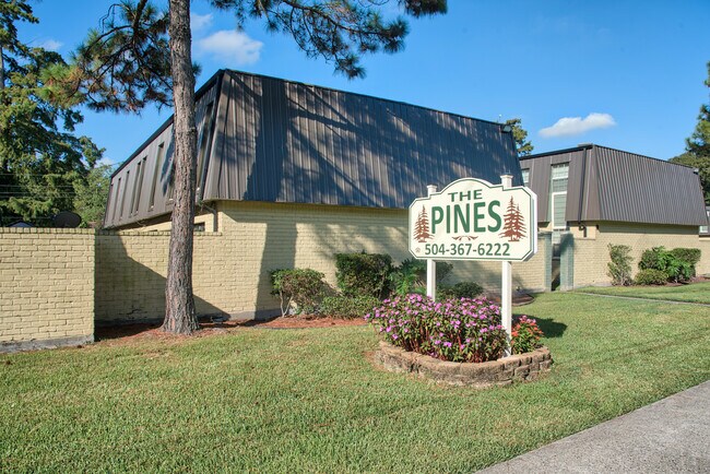 The Pines Apartments - The Pines Apartments