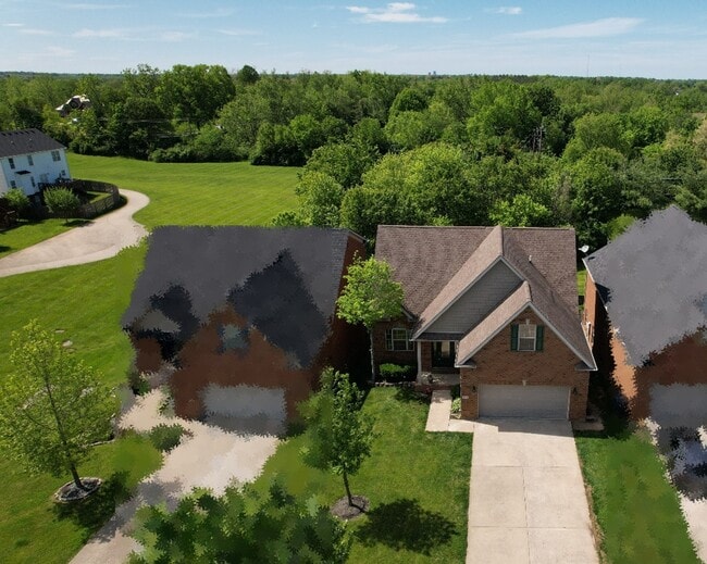 393 Hays Front - Elevated View with Woods and Green Space - 393 Hays Blvd House