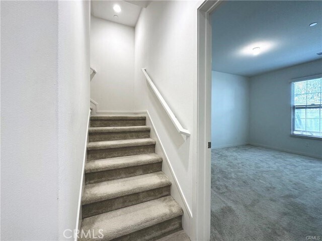129 Briarberry