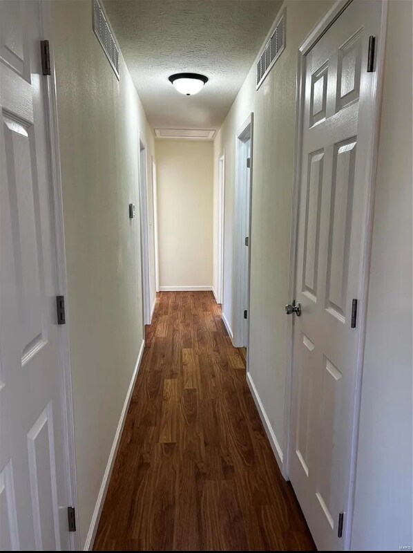 Photo - 26899 Stephanie Ln