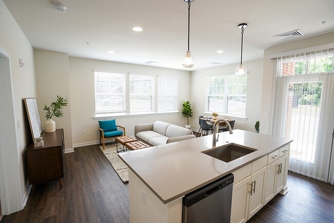 Living Room and Kitchen