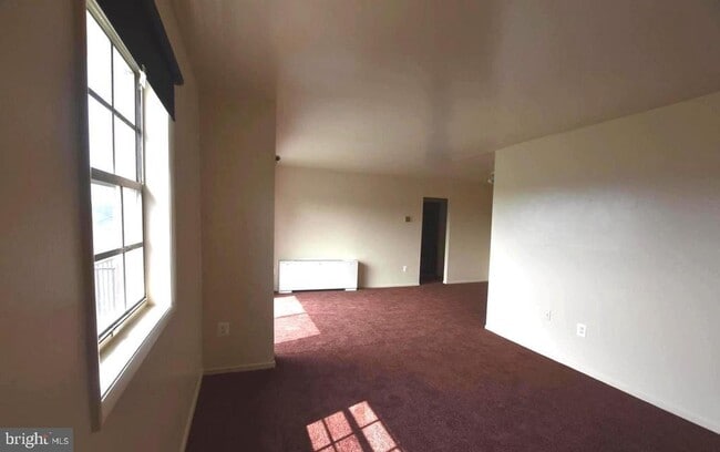 Building Photo - 4507 Romlon St Unit 203