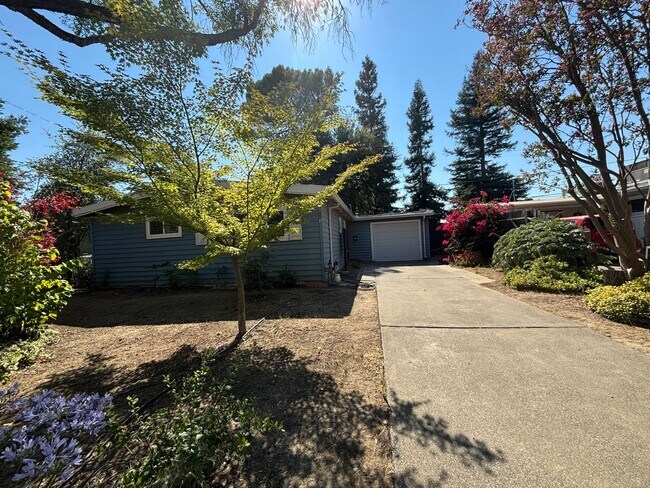 Super Cute 3 bed 2 bath Home in Central Da... - Super Cute 3 bed 2 bath Home in Central Da...