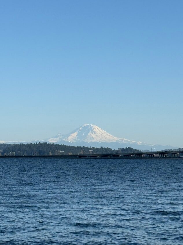 View from the deck - 334 Lakeside Ave S (Seattle, WA)