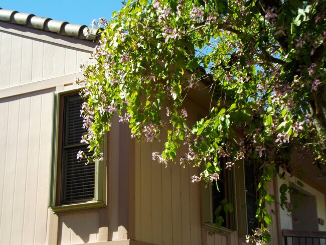 Photo - 3355 Jaywood Terrace Unit 2140
