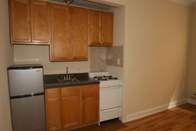 4349 N Damen Unit 501