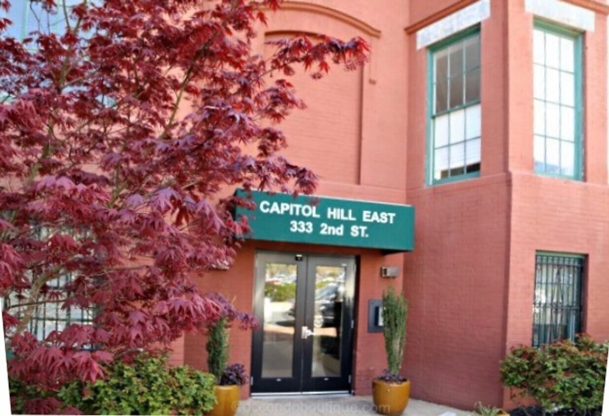 Capitol Hill 1B/ 1B with a View of The Har... - Capitol Hill 1B/ 1B with a View of The Har...