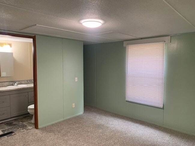 Photo - Available Soon!