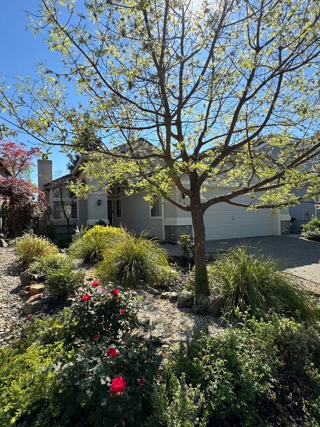 Photo - Move-In Ready 3-Bed, 2-Bath Home in Roseville! SEE VIDEO