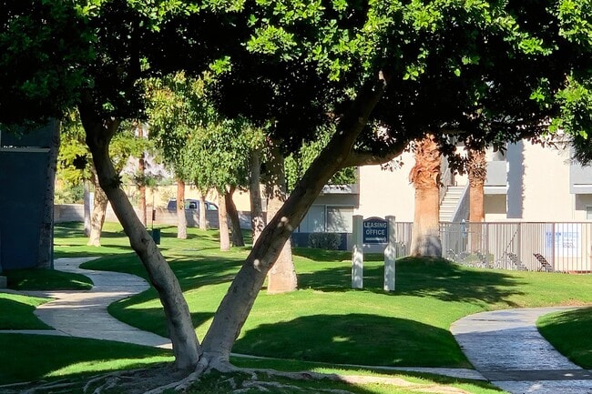 Palm Springs View Apartments
