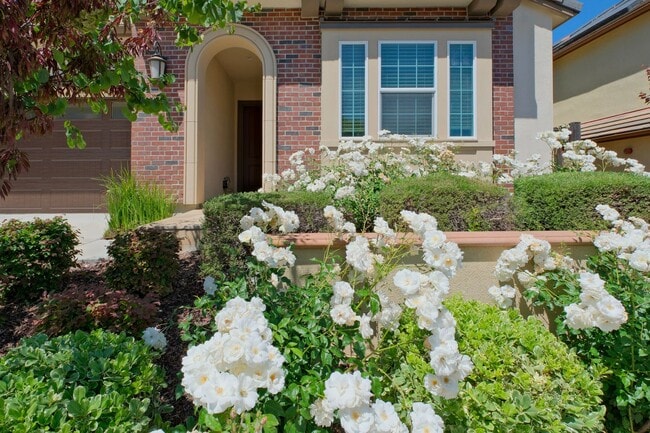 Photo - 6536 Terrace Ridge Ct