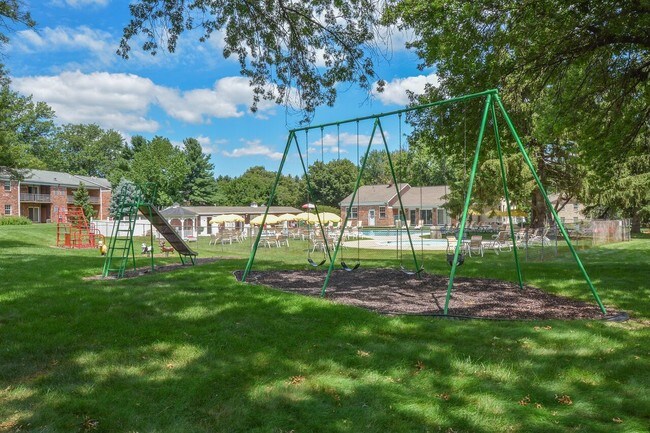 Playground with Various Play Equipment