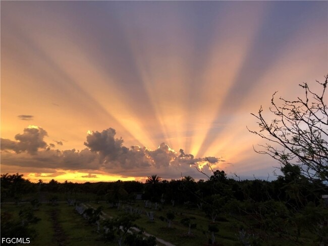 Photo - 13098 Ficus Tree Ln