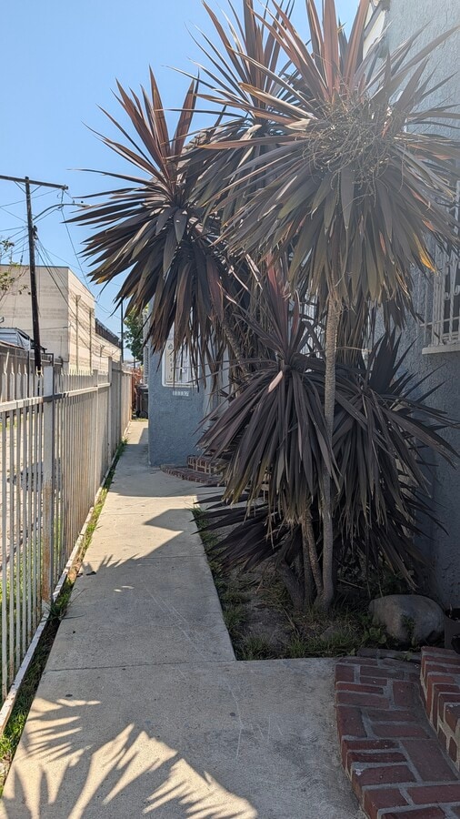 Photo - 1008 N Willow Ave Unit 1/2