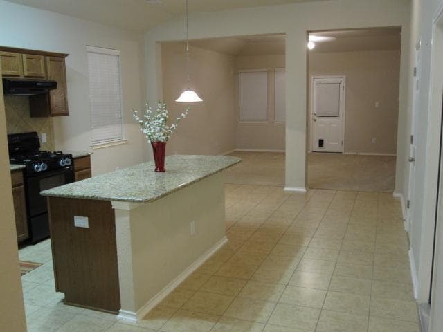 Photo - 12020 Crownstone Ln