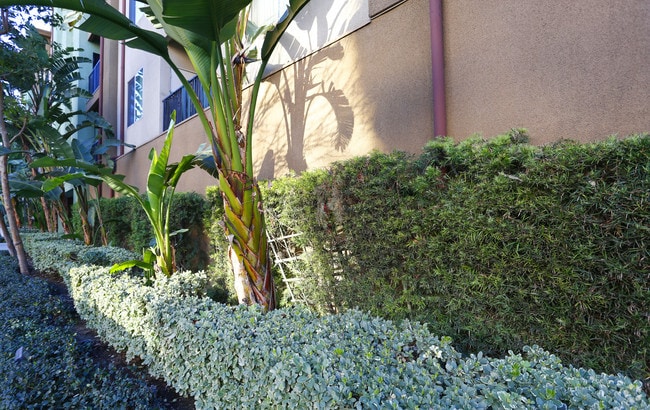 Photo - Burbank Senior Artists Colony