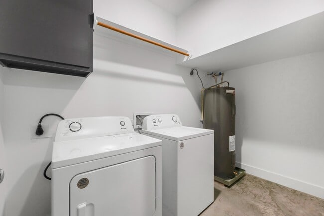 Photo - 3014 Alpha Wolf