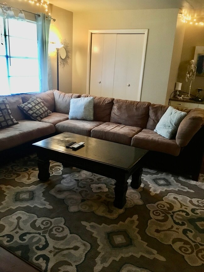 Larger closet in living area - 217 Mitchell St Unit 219 Mitchell St