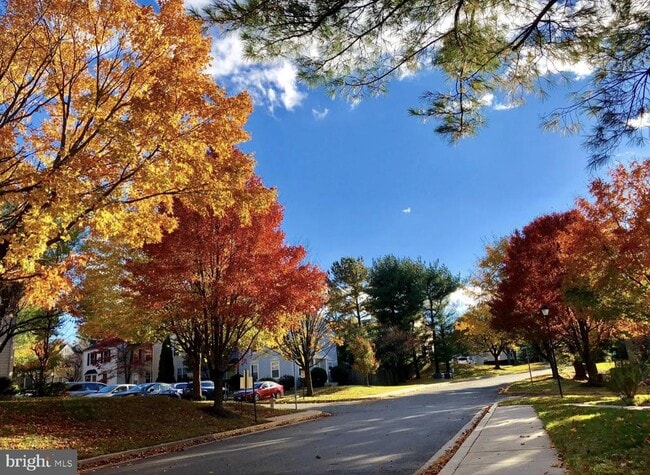 Photo - 14703 Prairie Landing Way Casa Adosada