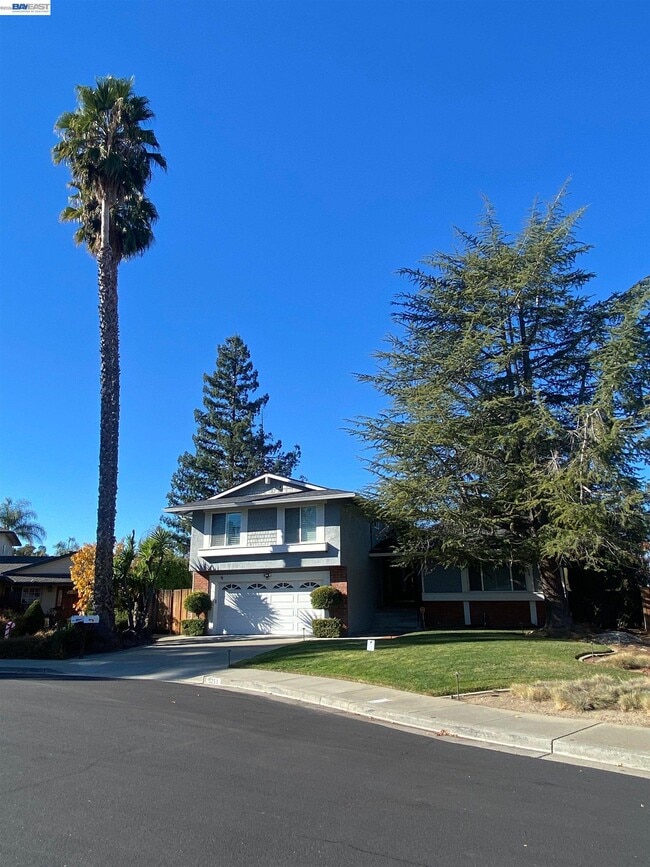 Photo - 3253 Pomace Ct