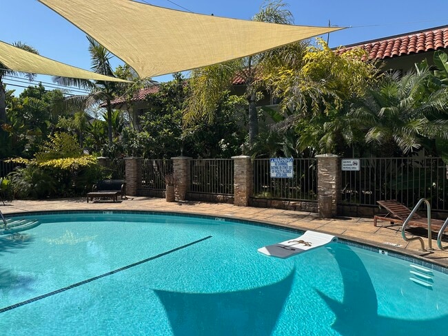 Pool - Pacific Park