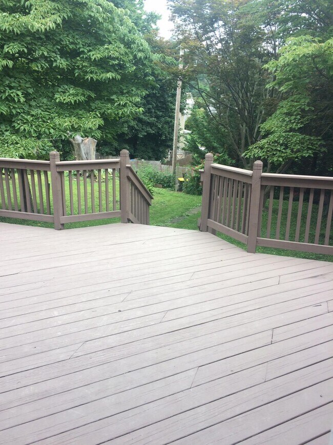 Back deck - 223 Meredith St