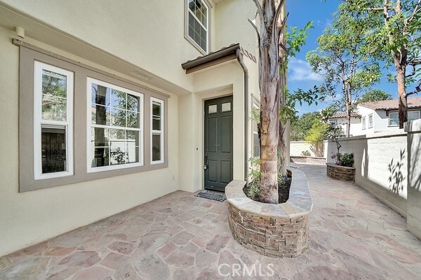 Photo - 213 Tuberose