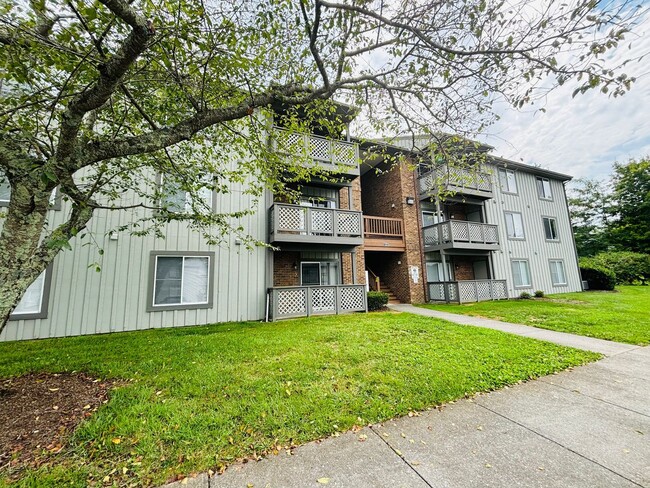 Building Photo - 3 Bedroom 2 Bath Condo