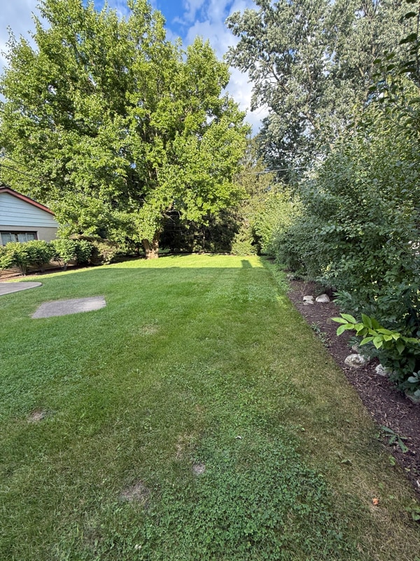 Photo - 1007 N Gibbons Ave