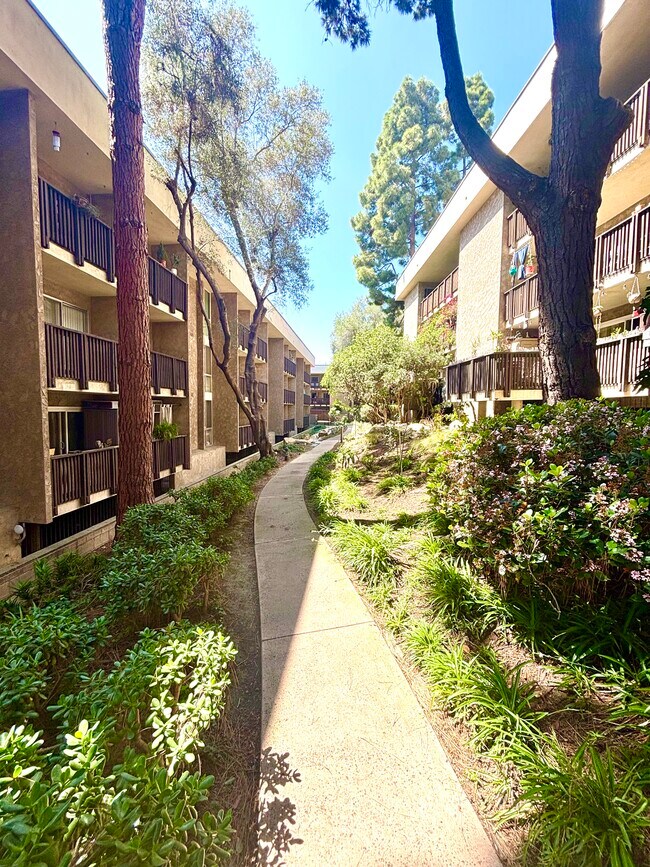 Photo - 6202 Friars Rd Unit 302